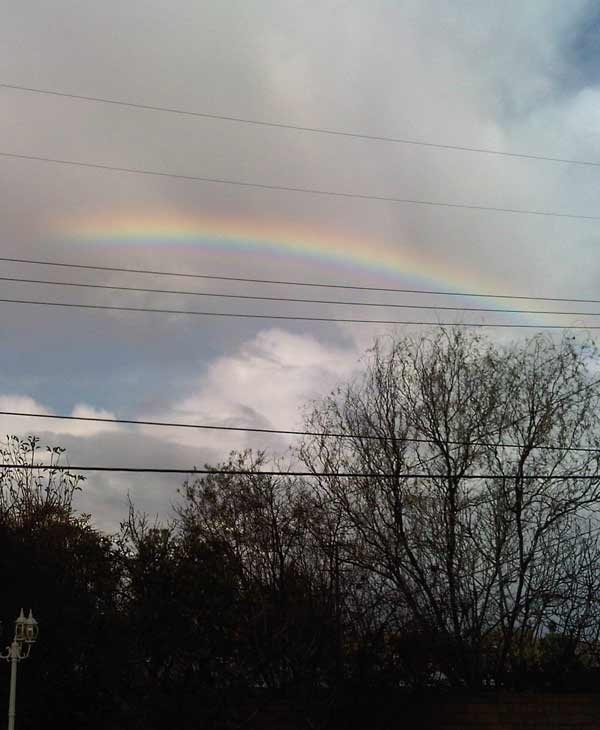 ABC7 viewer Alex Silva sent in a photo of a...