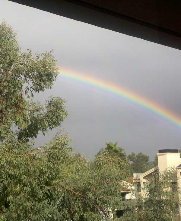ABC7 viewer Michael Weiss sent in this photo of...
