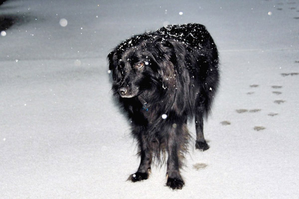 ABC7 viewer Lynda Hill sent in this photo of a...