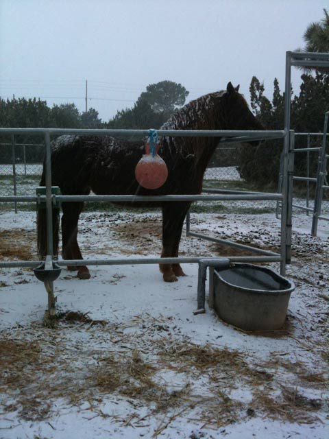 ABC7 viewer Kristin from Palmdale, Calif. sent...