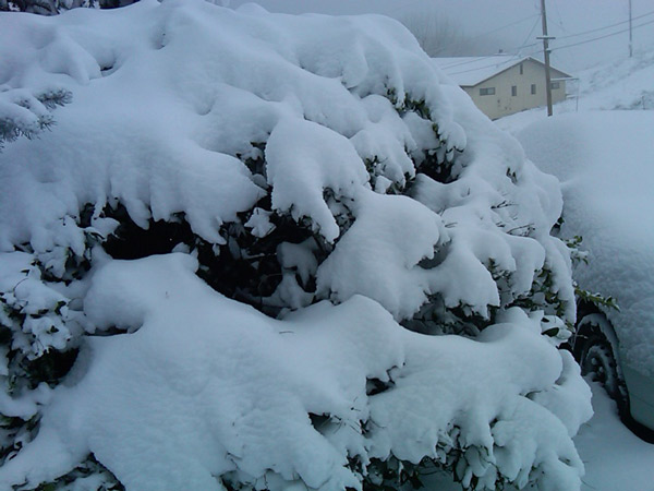 ABC7 viewer Yvonne Stainthorpe sent in this...