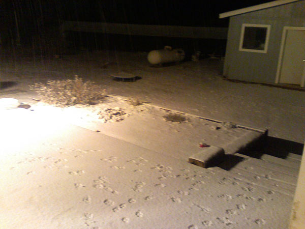 ABC7 viewer Andrea Umberson sent in this photo of snow in Phelan, Calif. on Sunday Jan. 2, 2011.