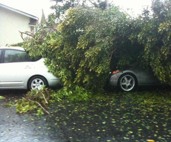 The Ventura County Fire Department sent ABC7...