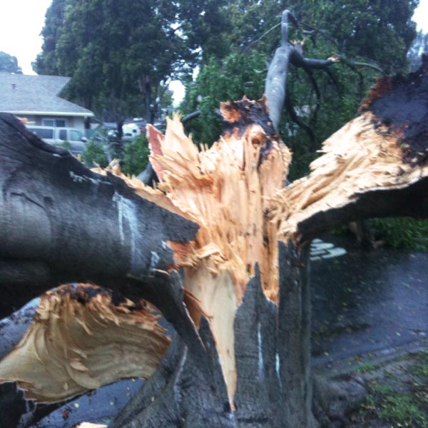 The Ventura County Fire Department sent ABC7...