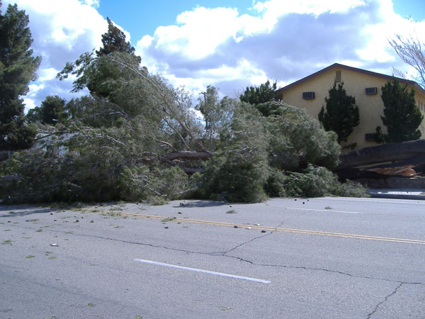 ABC7 viewer Victor Clarke sent in this photo of...