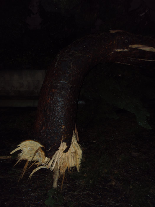 ABC7 viewer Brian sent in this photo of a broken...