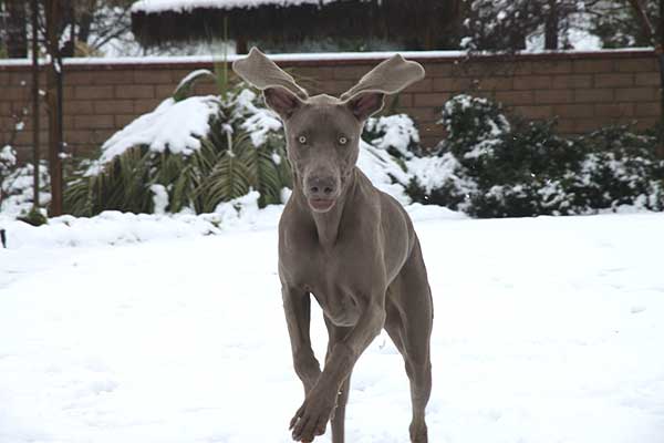 ABC7 viewer Chris DeVince sent in this photo of...