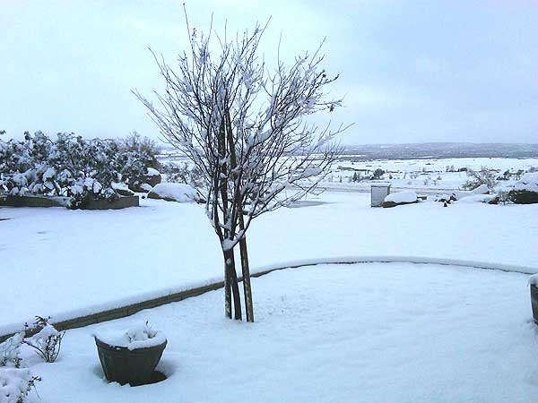 ABC7 viewer Fran sent in this photo of snow in...