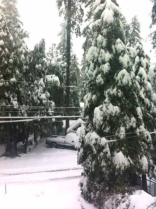 ABC7 viewer Fadel Hanoun sent in this photo of...