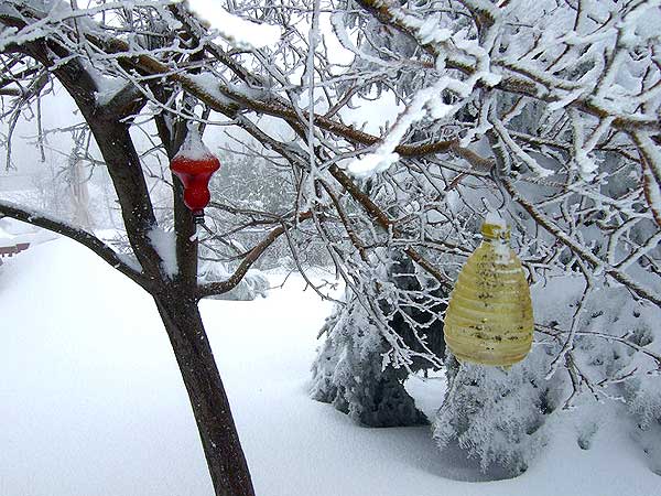 ABC7 viewer Kathleen Potter sent in this photo...