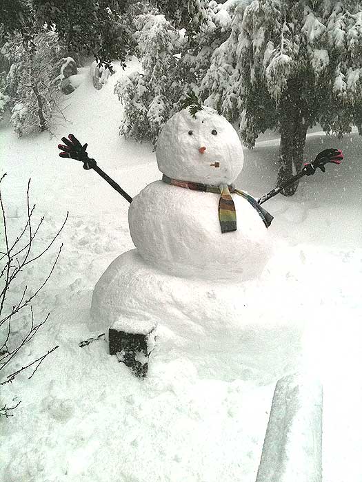 An unnamed ABC7 viewer sent in this photo of a...