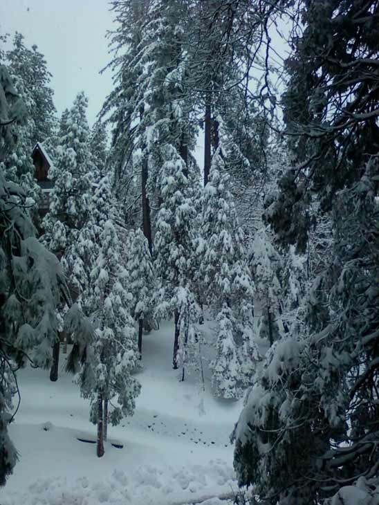 An ABC7 viewer sent in this photo after the...