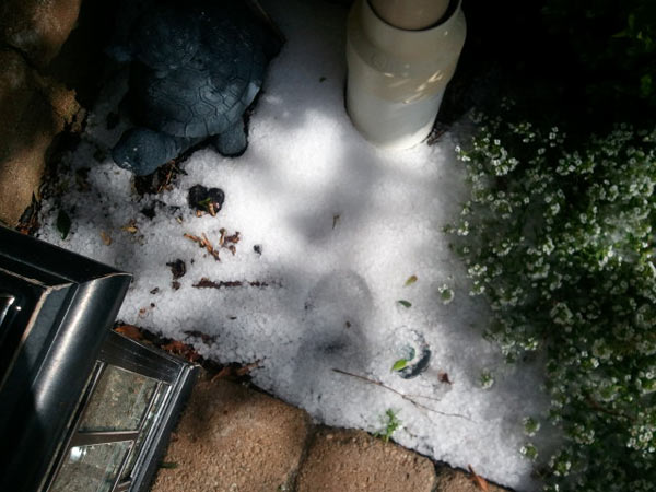 ABC7 viewer Alicia Lind sent in this photo of...
