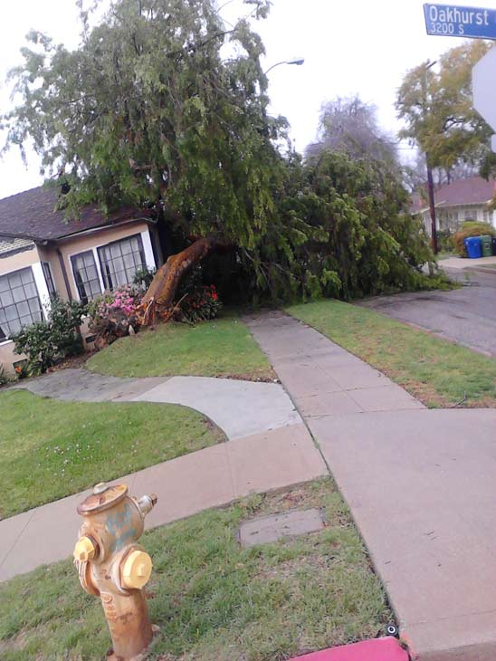 ABC7 viewer Deanna Rabb sent in this photo of a...