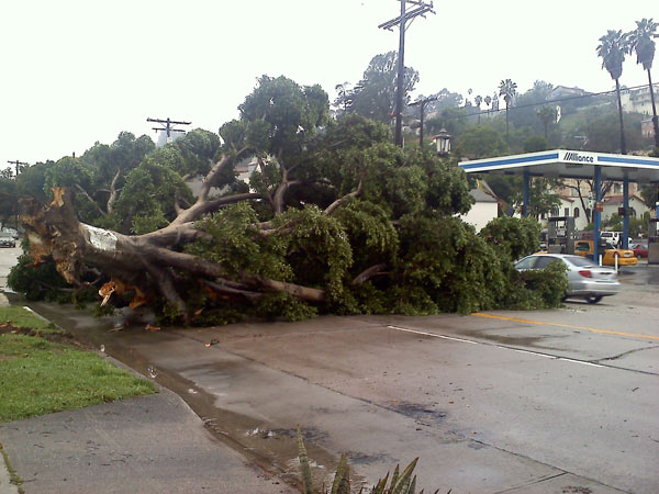 ABC7 viewer Marc Guerra sent in this photo of a...