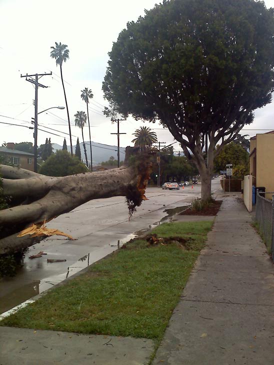 ABC7 viewer Marc Guerra sent in this photo of a...
