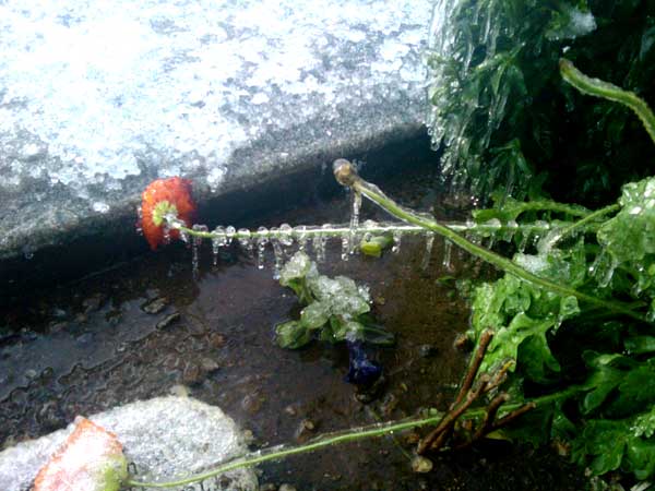 ABC7 viewer Jessica Griswold sent in this photo...