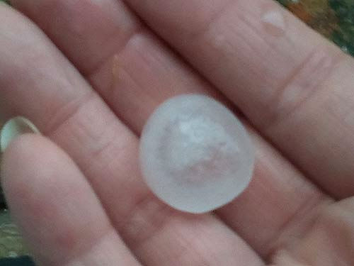 ABC7 viewer Stephanie DiFranco holds a piece of...