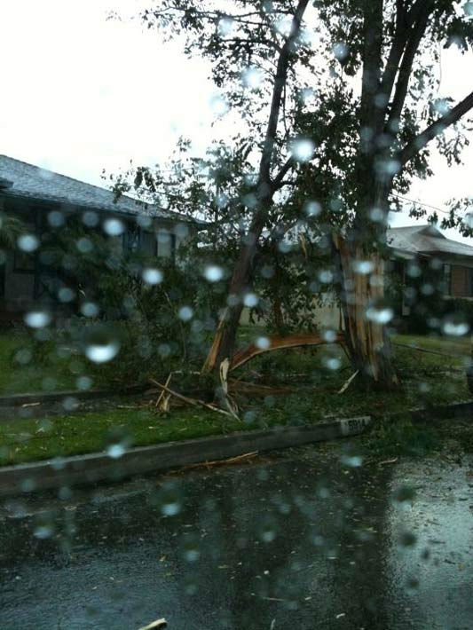 ABC7 viewer Christina Hicks of Torrance shows a...