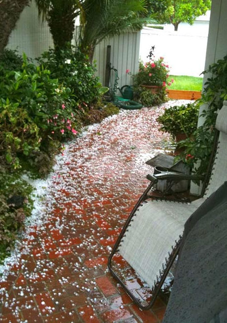 ABC7 viewer Chuck Prince took this photo of hail...