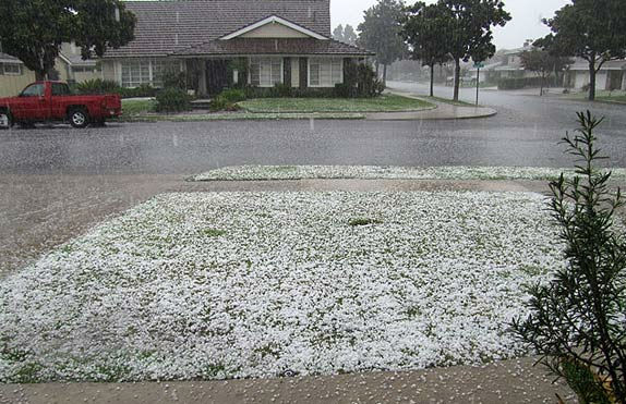 ABC7 viewer Jeffrey Rogers shows the remnants of...