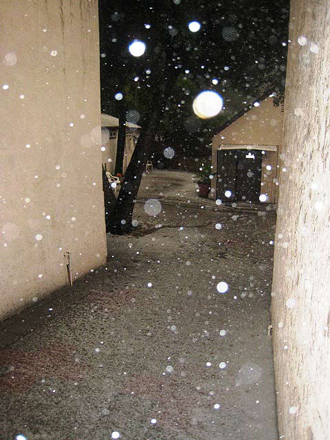 ABC7 viewer Kristiina Lalor sent in this photo...