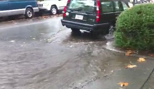 ABC7 viewer Leslie Thomas sent in this photo of...