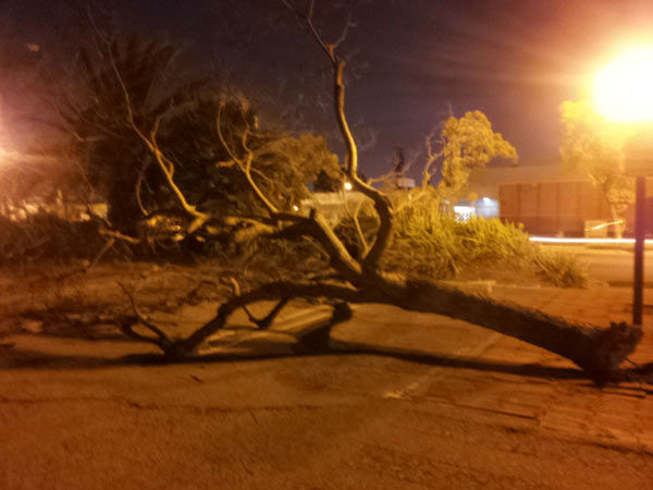 ABC7 viewer Ana Flores sent in this photo of a...
