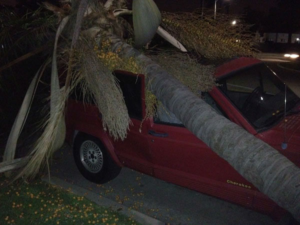 ABC7 viewer Patrice Collier sent in this photo...