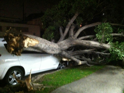 ABC7 viewer Eddie Shamie sent in this photo of a...