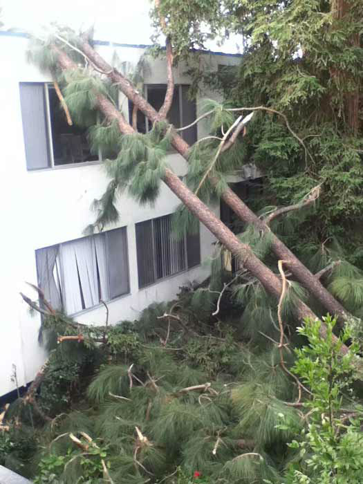 ABC7 viewer Daniel Oh sent in this photo of a...