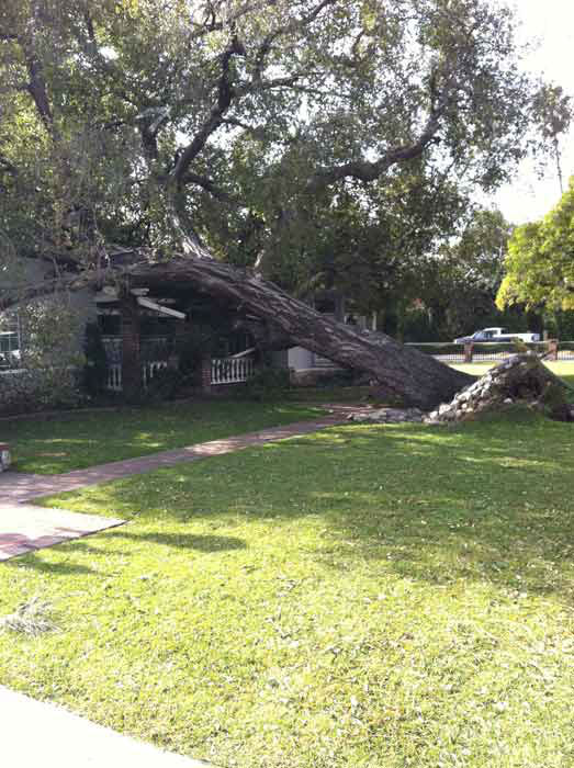 ABC7 viewer Meghan Boyce sent in this photo of a...
