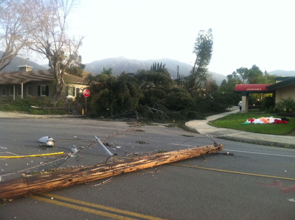 A power line fell onto a street in Arcadia,...