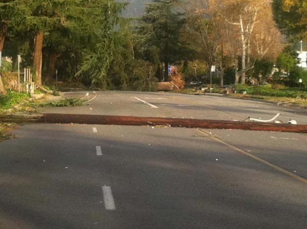 A power line fell onto a street in Arcadia,...