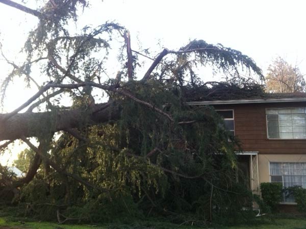A tree fell on top of a home on Fairview and...