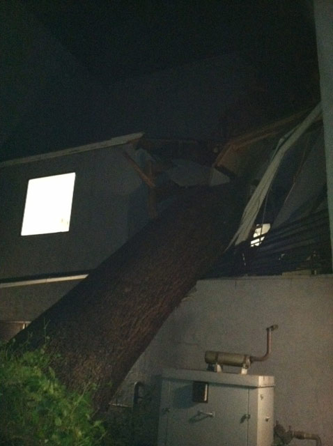 A tree fell on a building on the 1200 block of...