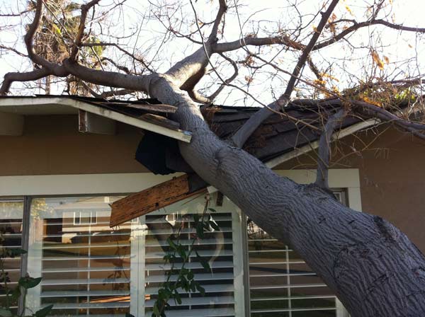 ABC7 viewer Brian Weed sent in this photo of a...