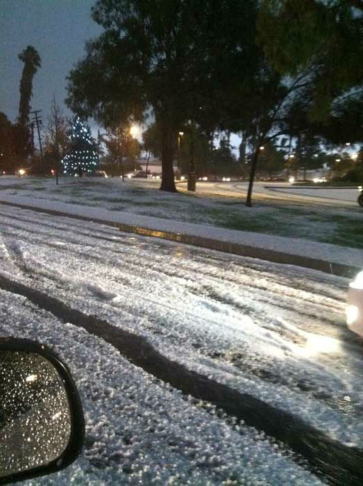 An ABC7 viewer took this photo of the wild...