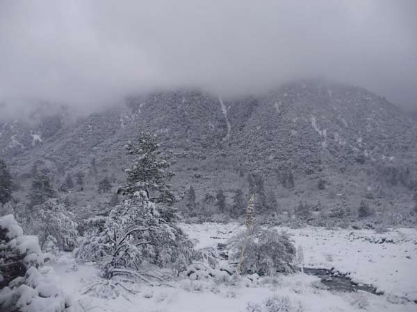 ABC7 viewer Allen Hansen posted this photo on...