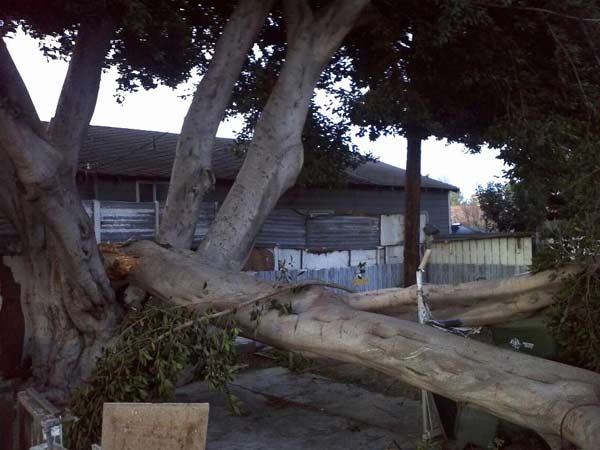 ABC7 viewer David Benavides posted this photo on...