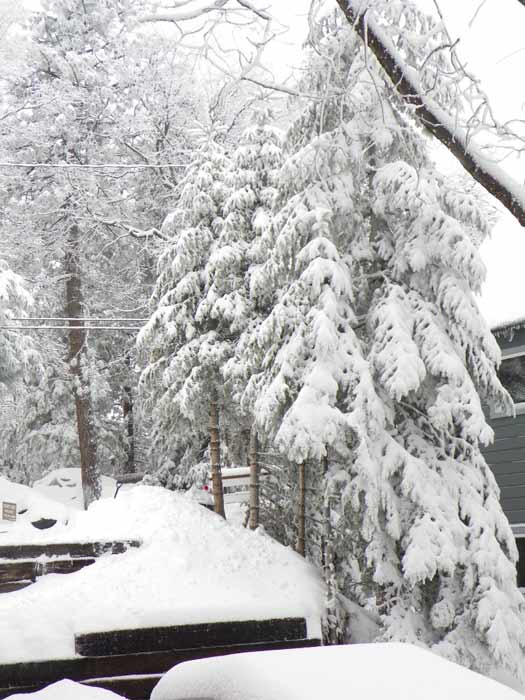 ABC7 viewer Nancy Castorena Isenberg posted this...