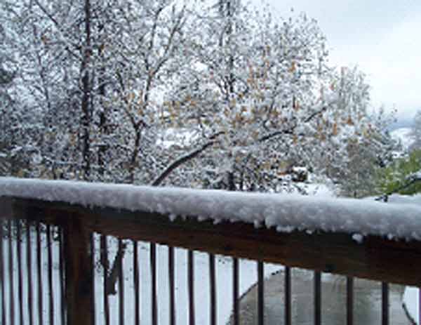 ABC7 viewer Robert Lampi sent in this photo of...