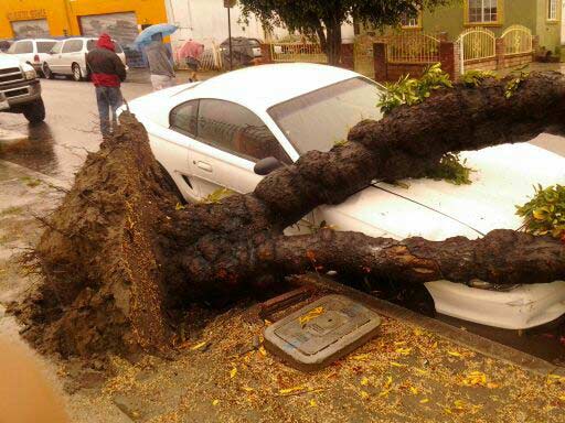 ABC7 viewer Marlene Cortez of South Gate sent in...