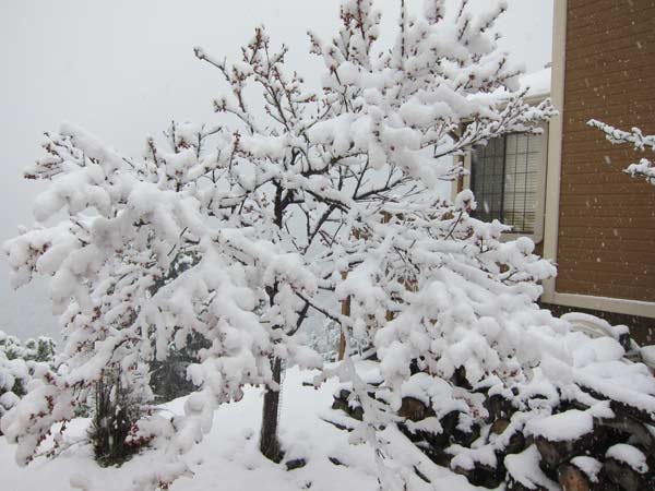 ABC7 employee Matt Wurster sent in this photo of...