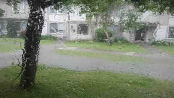 An ABC7 viewer from Stanton, Calif., sent in...