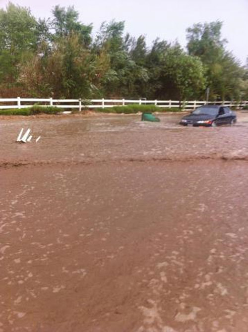 ABC7 viewer Chelsea Cook posted this photo on...
