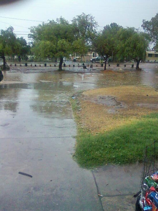 ABC7 viewer Elizabeth Leal posted this photo on...