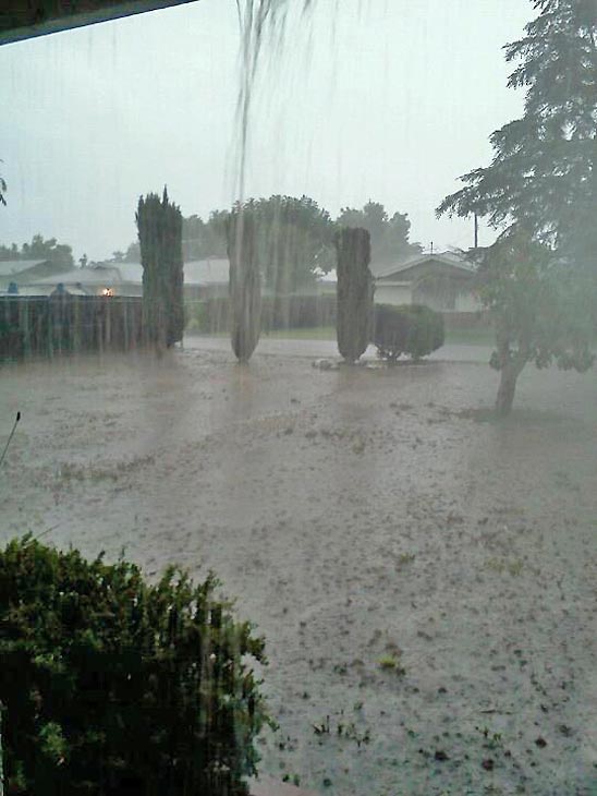 ABC7 viewer Mandy Utesch sent us this photo via...