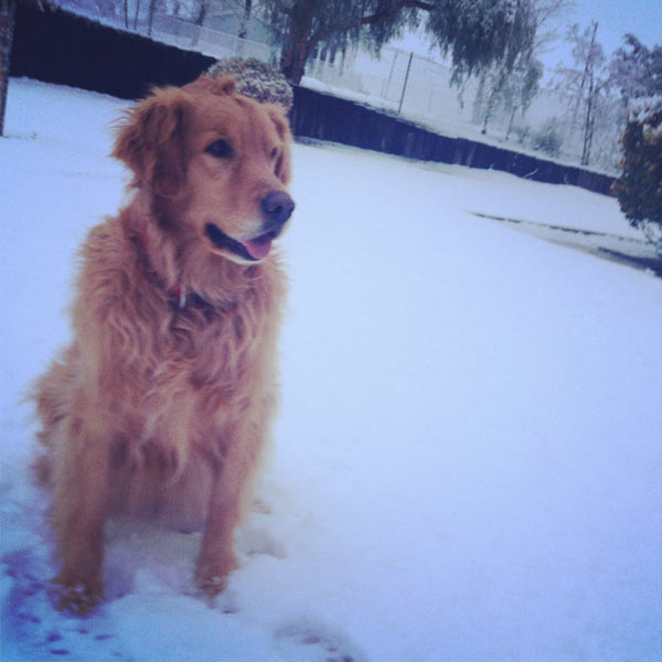 ABC7 viewer Ashley Leonard sent us this photo of...