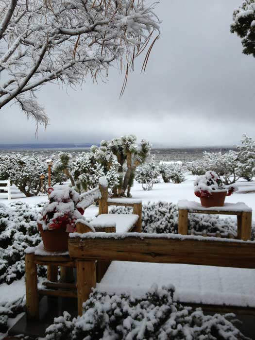 An ABC7 viewer sent us this photo of snow in...